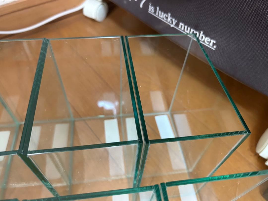 ベタ　コレクションケースM 12個