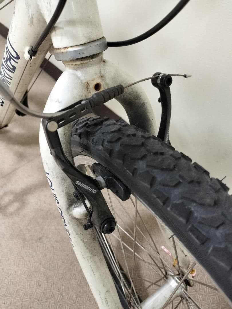 ルイガノ LOUIS GARNEAU J22 ジュニア バイク