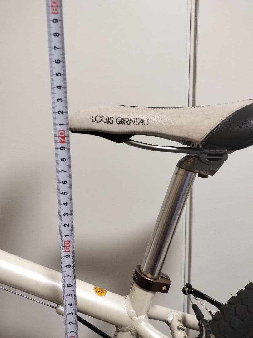 ルイガノ LOUIS GARNEAU J22 ジュニア バイク