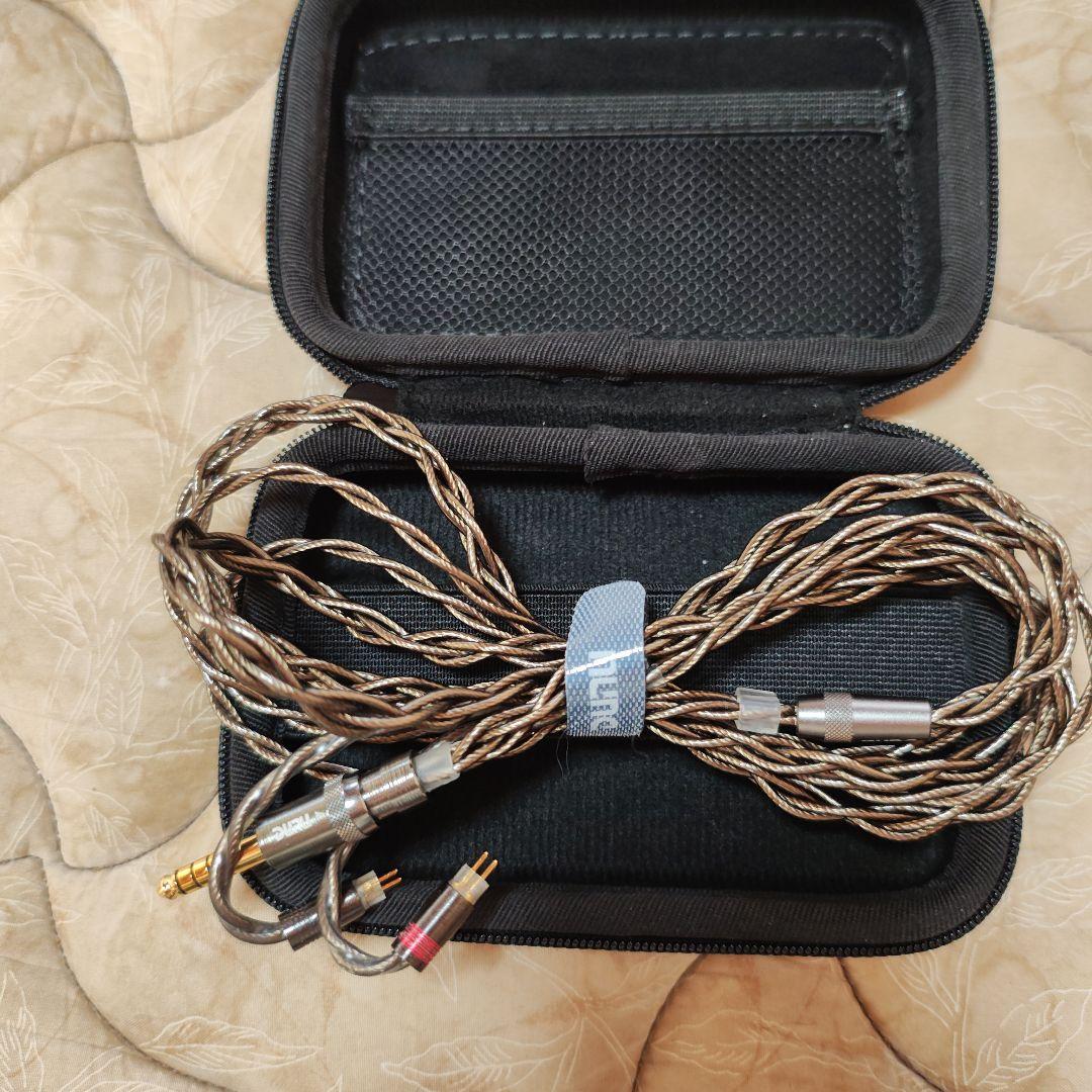 【最終120分で削除】試聴1回 DUNU DN-242 新品購入／伝票有