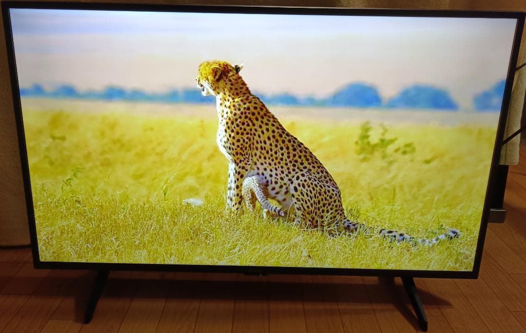 美品 25年製 43V型SHARP AQUOS 4T-C43GL1 4Kテレビ