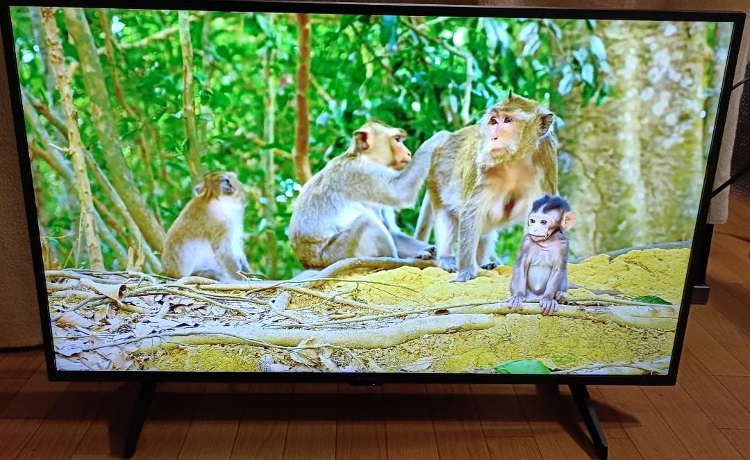 美品 25年製 43V型SHARP AQUOS 4T-C43GL1 4Kテレビ