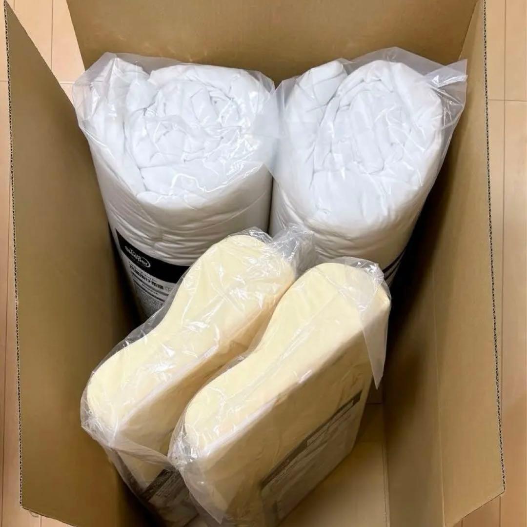 【最安値】トゥルースリーパー 抗菌掛け布団　ネックフィット ピロー✕2　新品