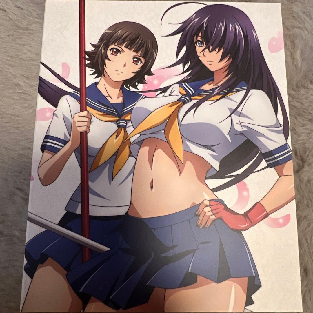 t*o様 一騎当千 Western Wolves 初回生産版