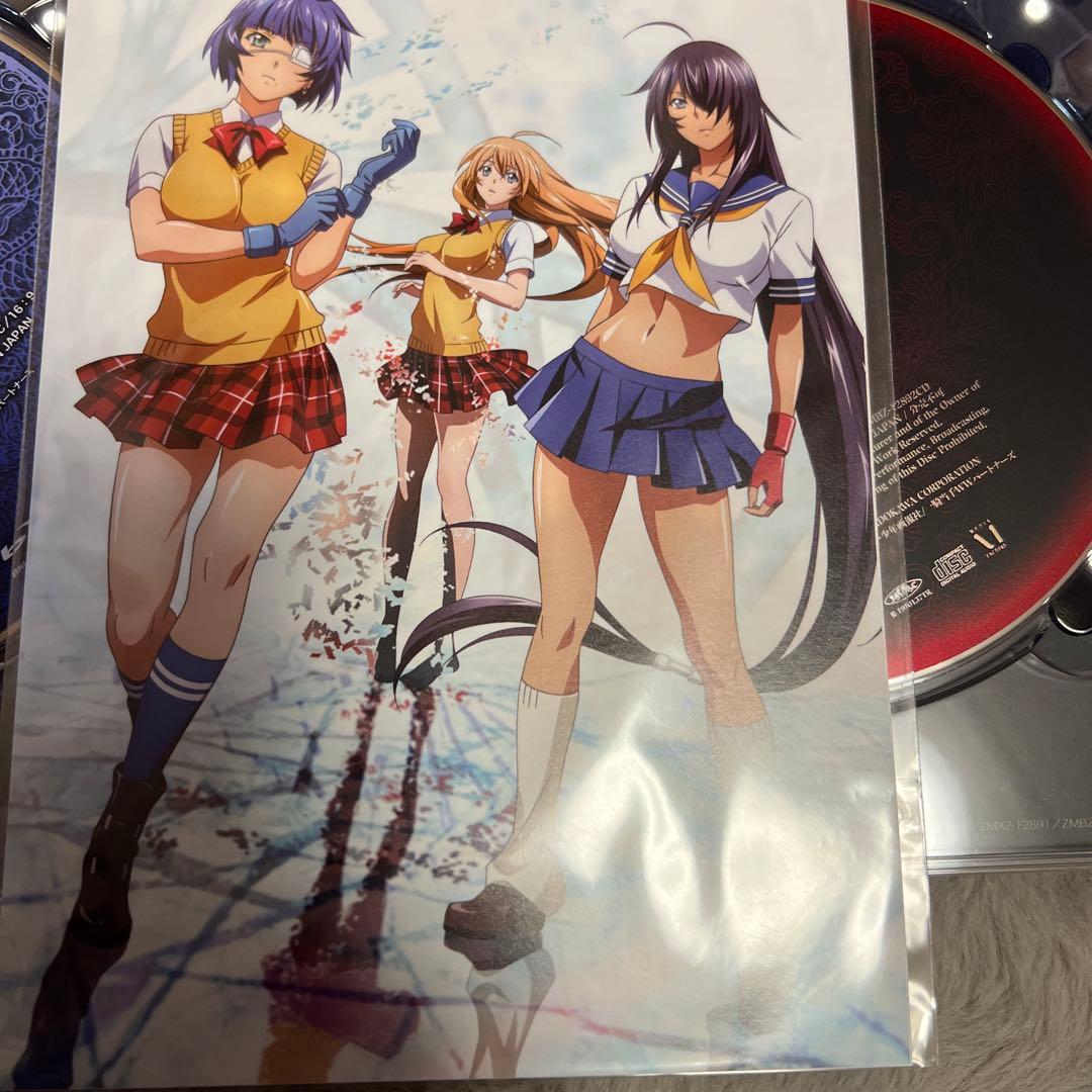 t*o様 一騎当千 Western Wolves 初回生産版