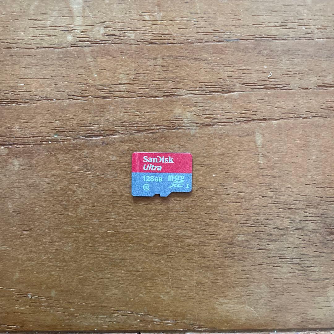 Nintendo Switch Lite 本体 128GBのSDカード付