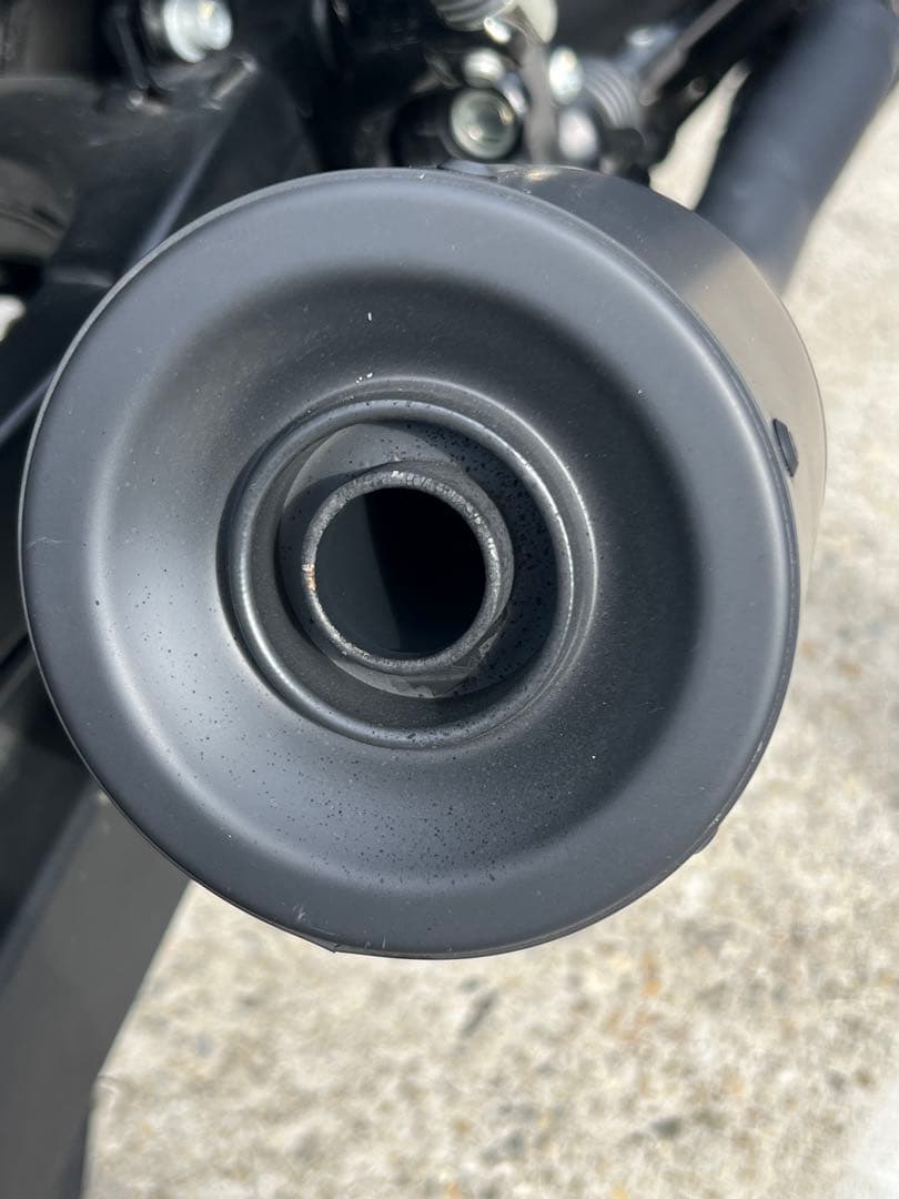 DLIVE 2in1 マフラー　フルエキ　車検対応 スポーツスター　ロードスター