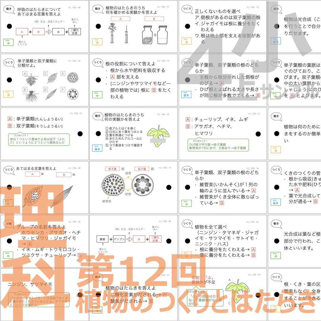 中学受験 暗記カード【4年生向け 理科上下 生物全セット】植物,動物