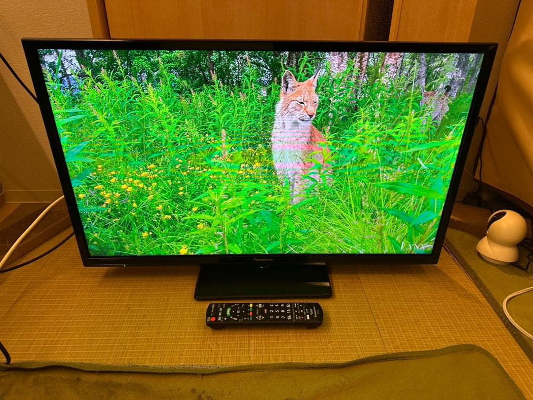 Panasonic　パナソニック 32型 テレビ TH-32G300 2019年