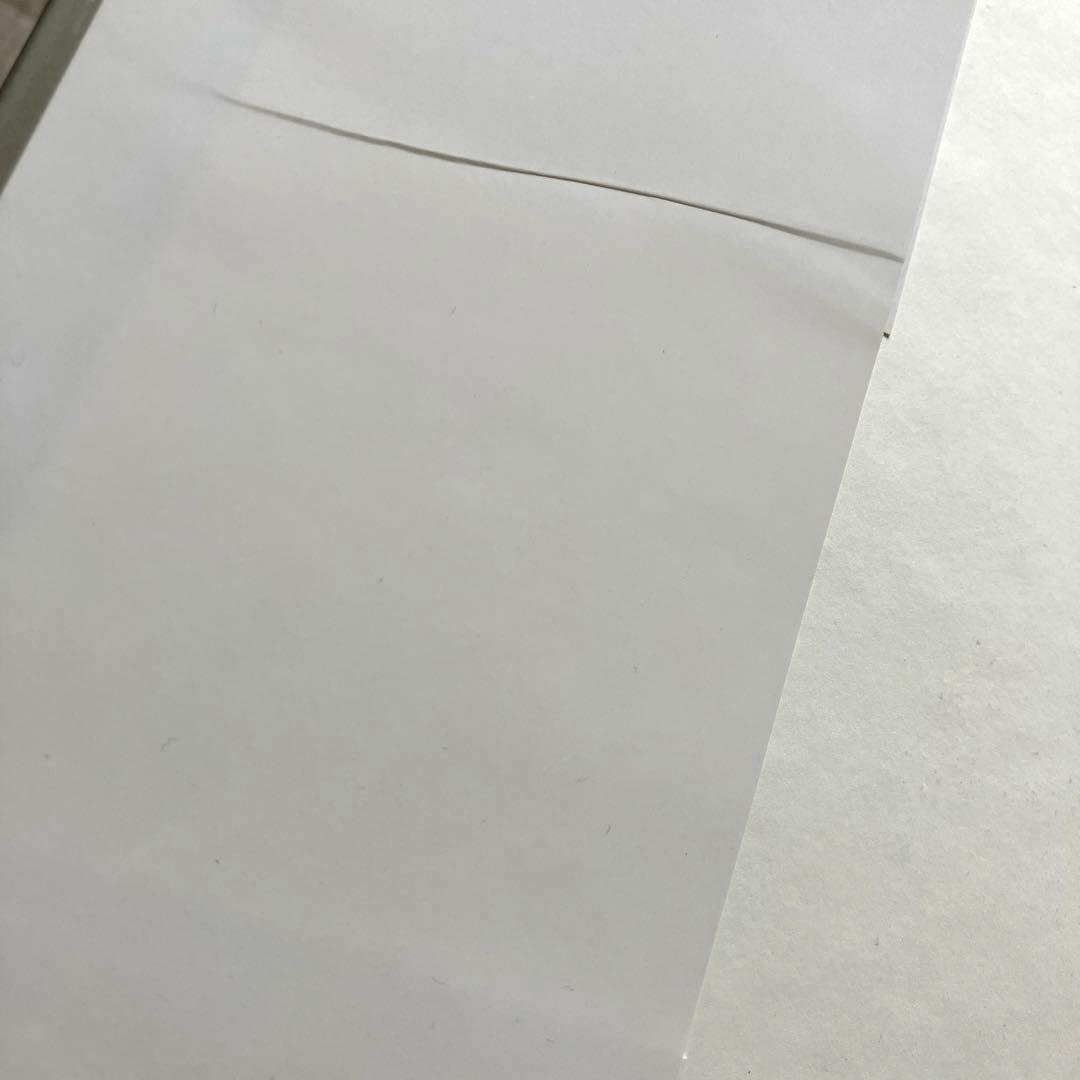 荒木経惟 天使祭 フライヤー付き 太陽出版