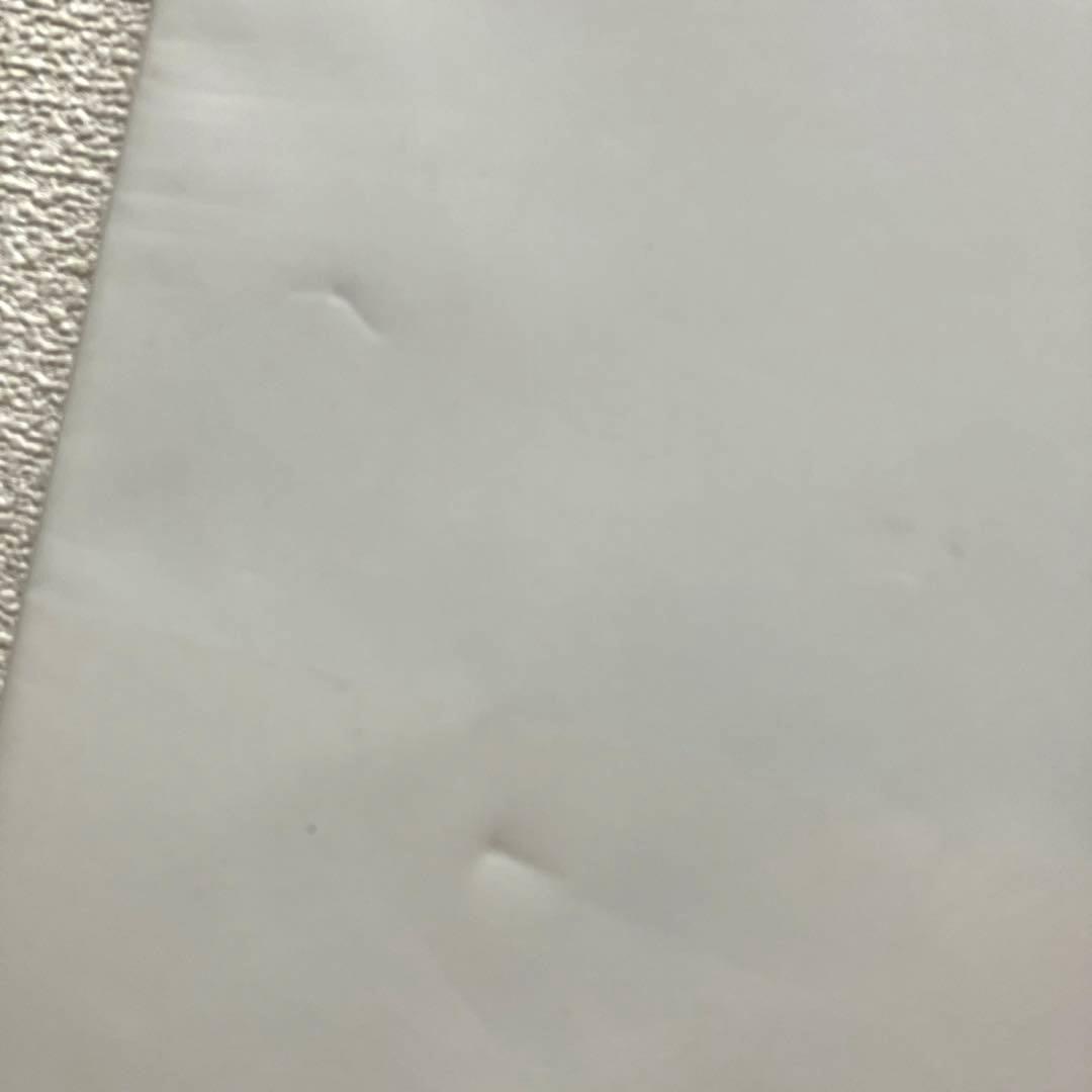 荒木経惟 天使祭 フライヤー付き 太陽出版