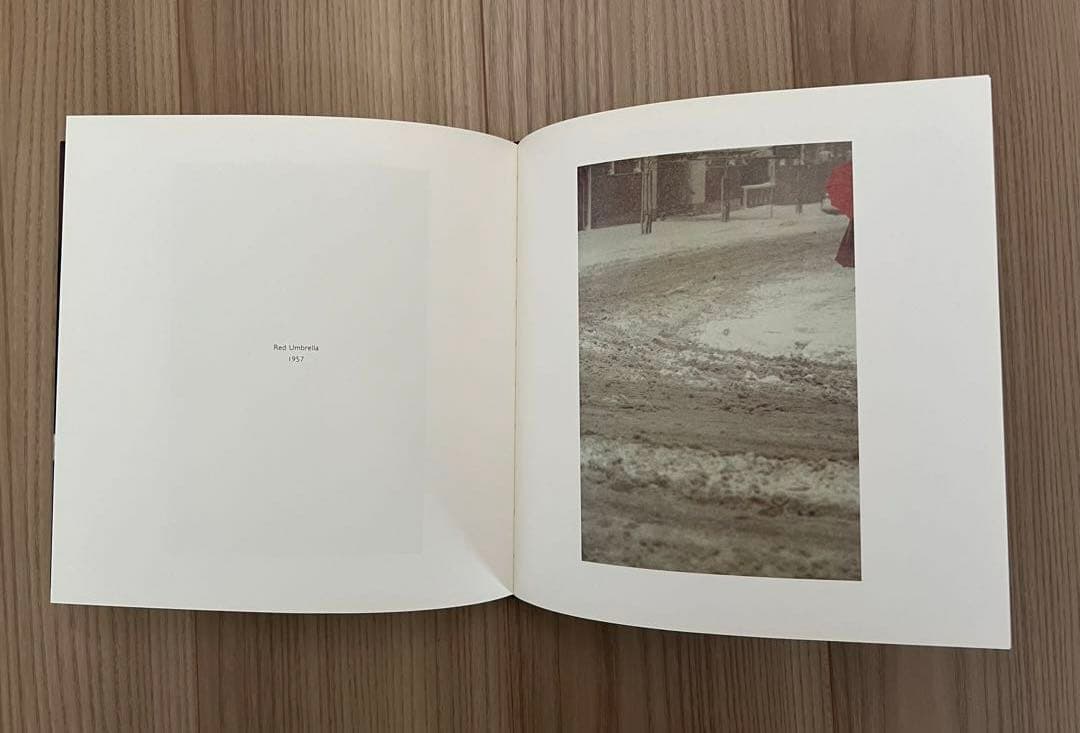 Saul Leiter ソールライター Early Color 仏語版