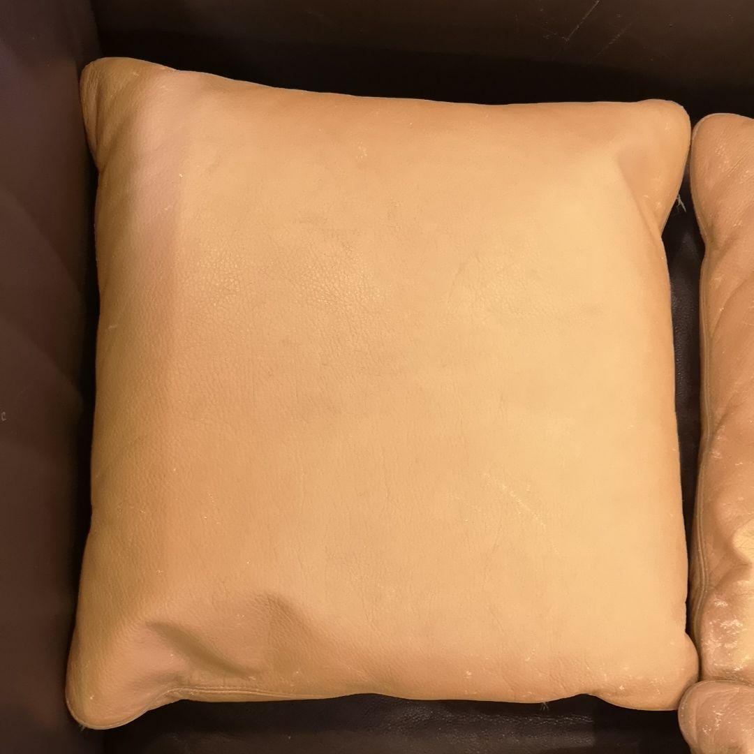 アルフレックスベンゴディクッションarflex Bengodigo本州以外は送料