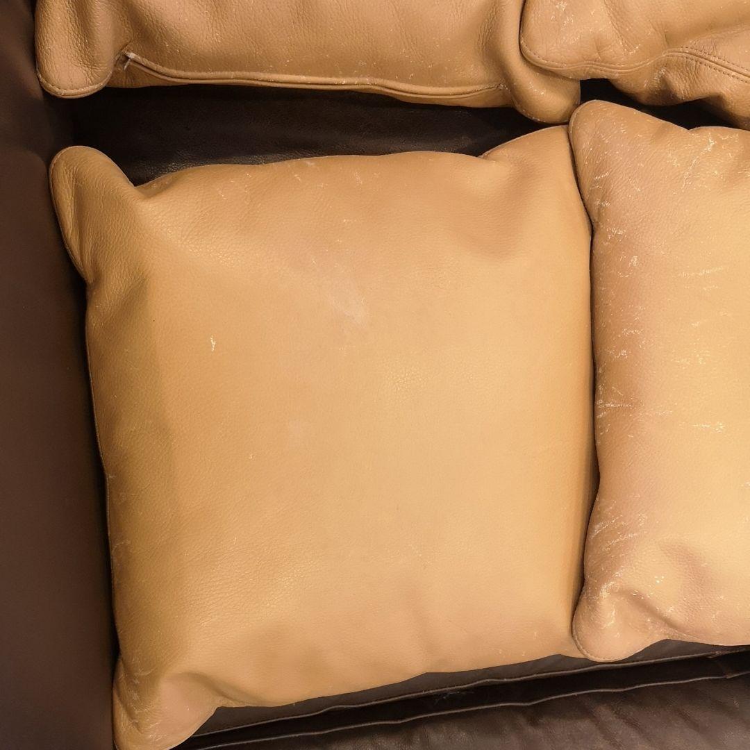 アルフレックスベンゴディクッションarflex Bengodigo本州以外は送料