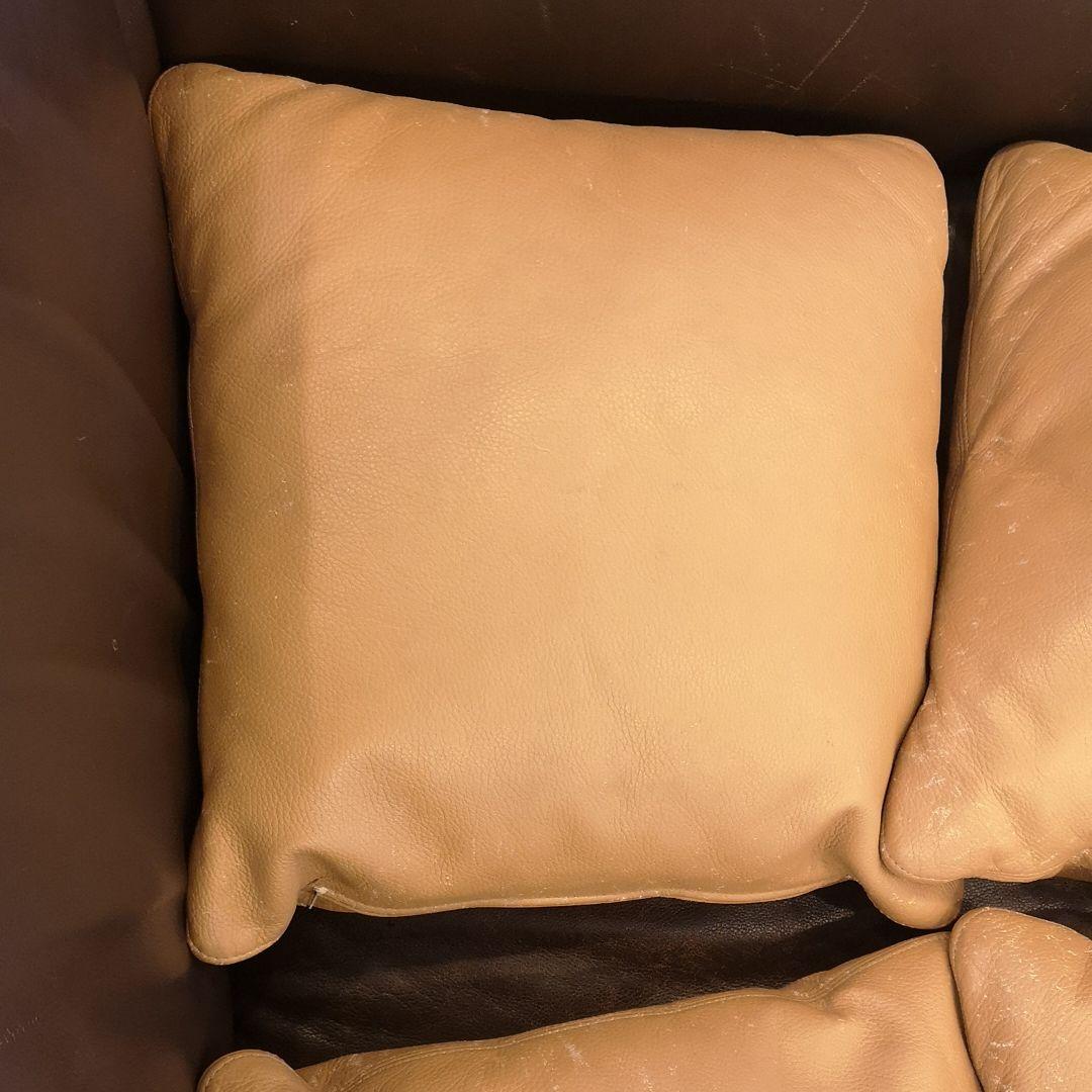 アルフレックスベンゴディクッションarflex Bengodigo本州以外は送料