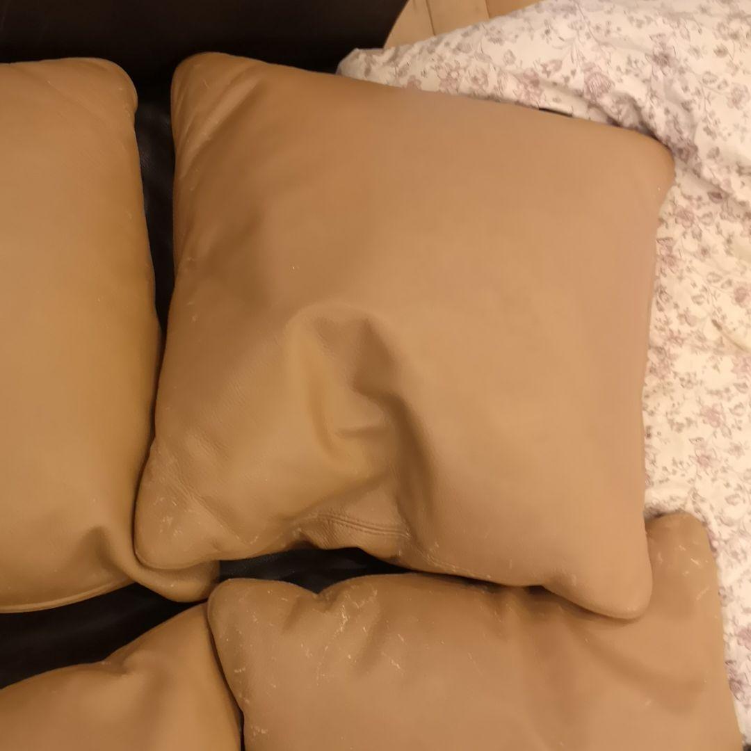 アルフレックスベンゴディクッションarflex Bengodigo本州以外は送料