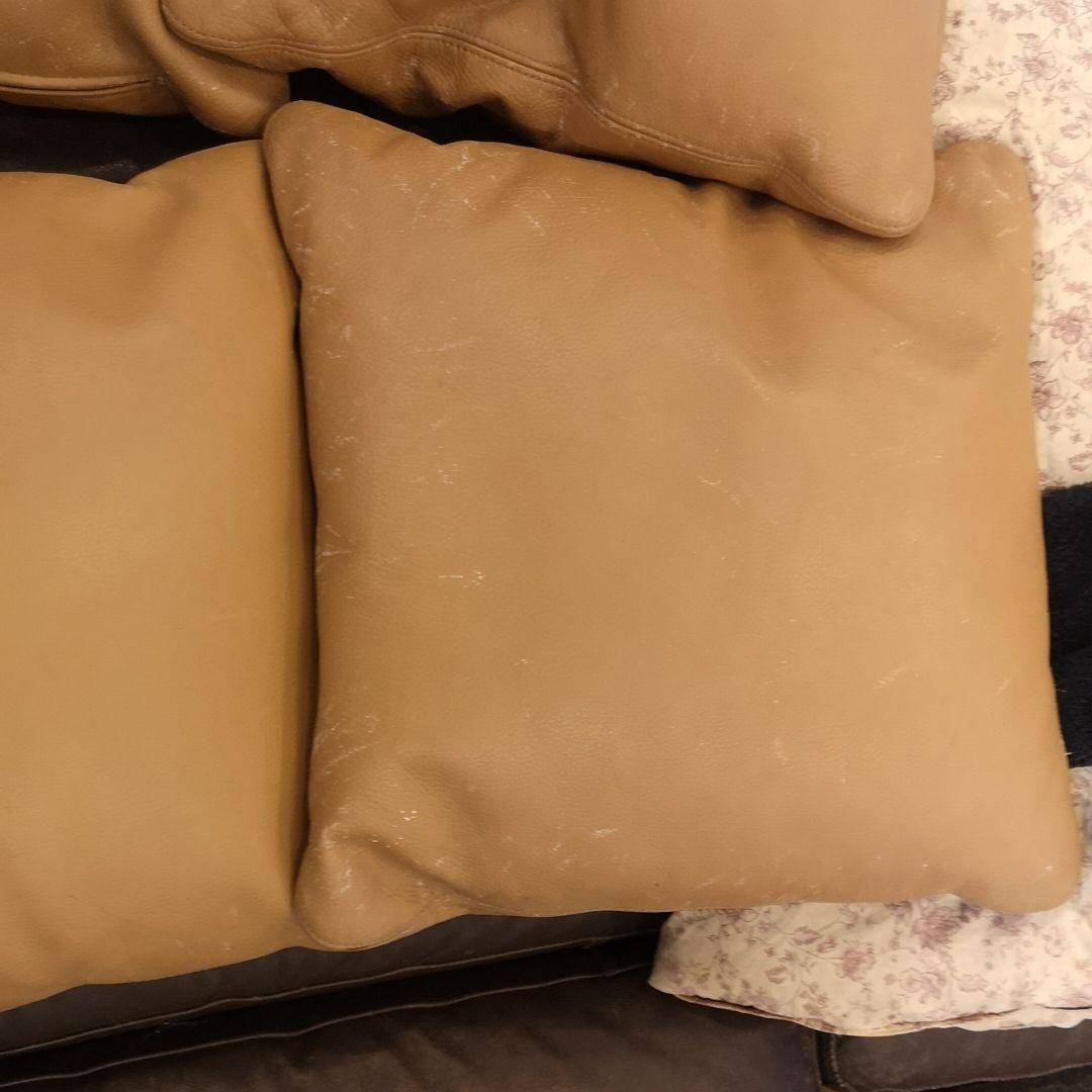 アルフレックスベンゴディクッションarflex Bengodigo本州以外は送料