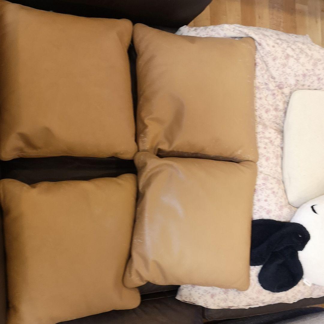 アルフレックスベンゴディクッションarflex Bengodigo本州以外は送料