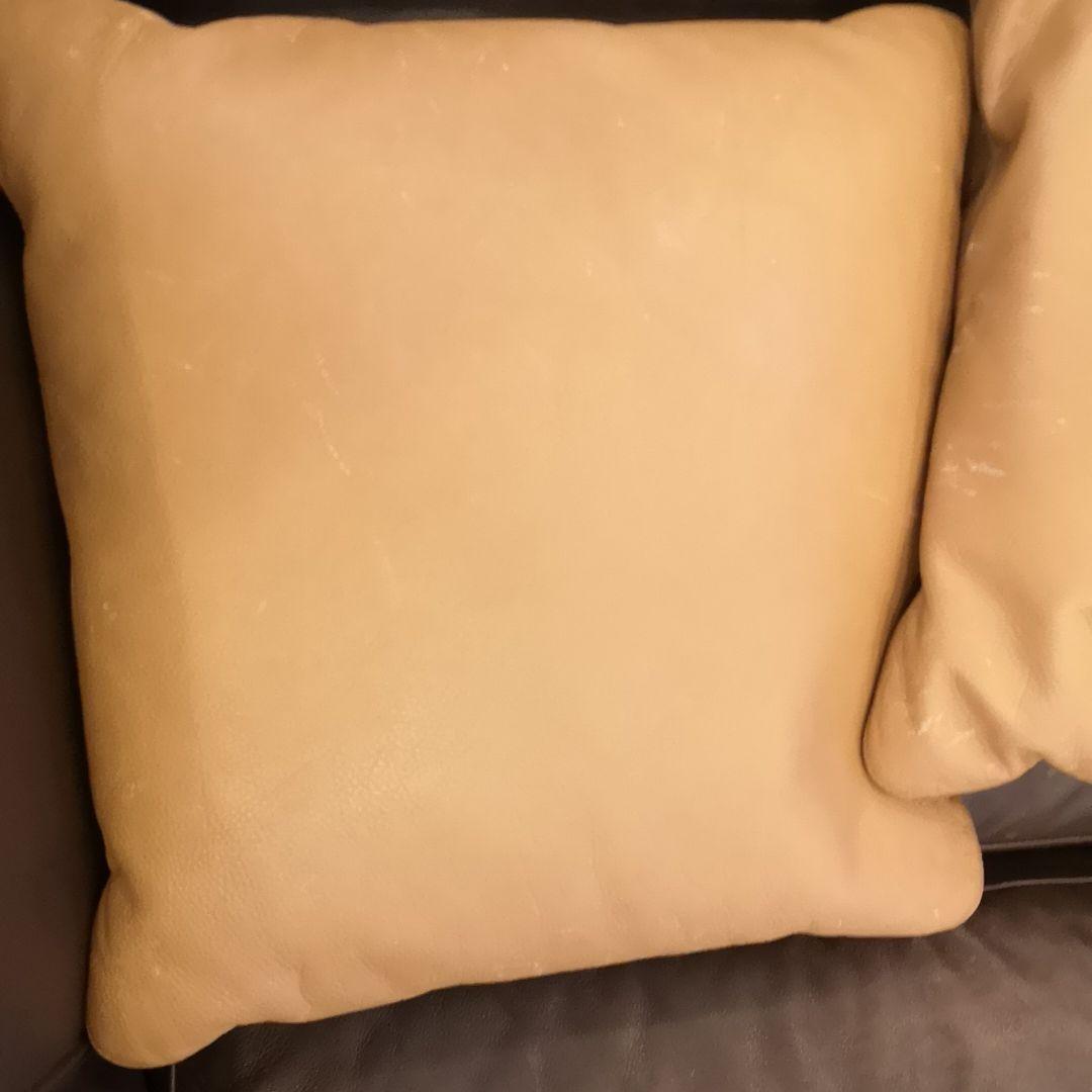 アルフレックスベンゴディクッションarflex Bengodigo本州以外は送料