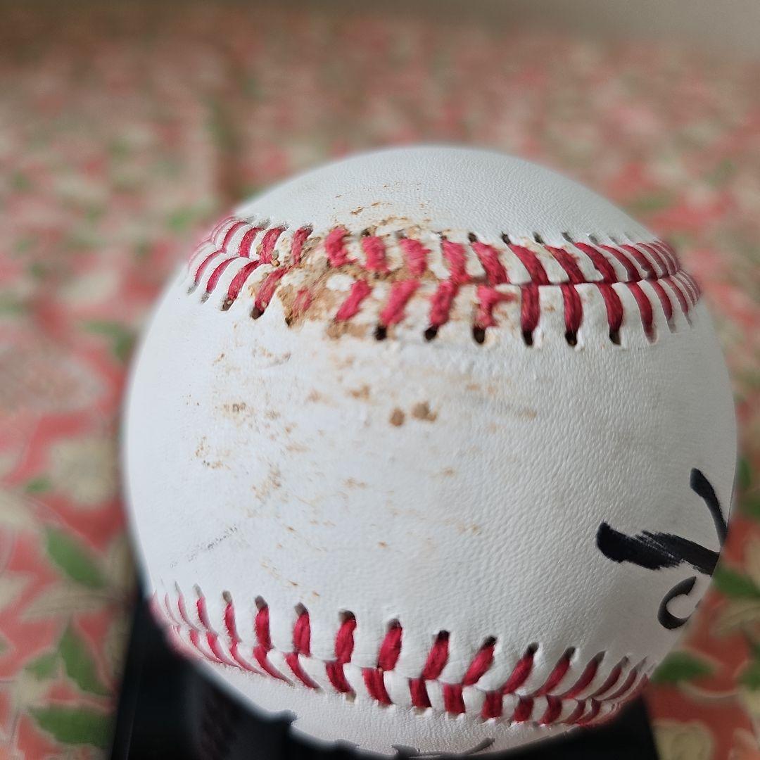 つば九郎&ドアラ 直筆サインボール 実試合球ケース付き レア物