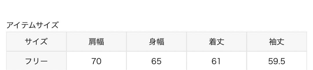 【タグ付き新品未使用】Plage ASHER JANELLE フーディー