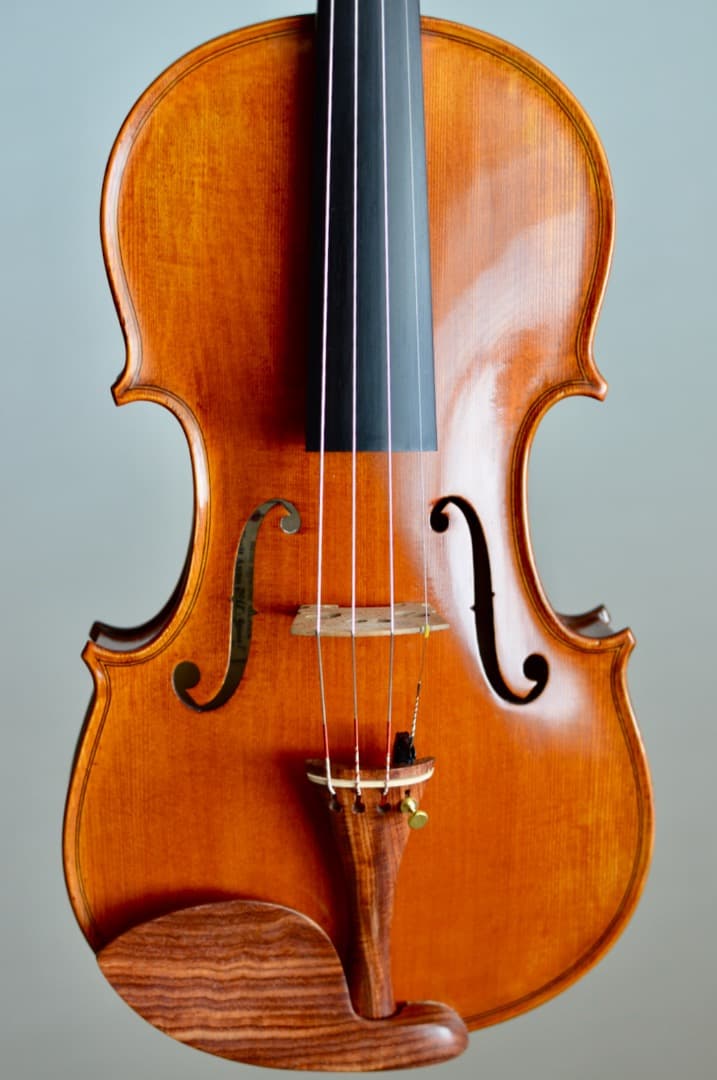 【カスタム美品】Gliga GEMS1 4/4 バイオリン セット