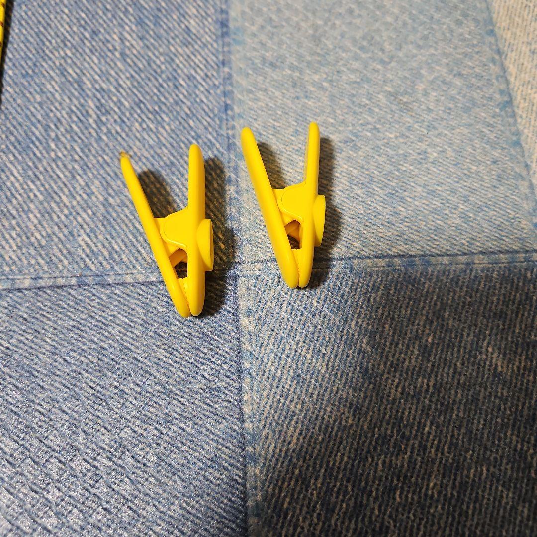 Pokémon GO Plus+　 ポケモンGOプラスプラス 2個