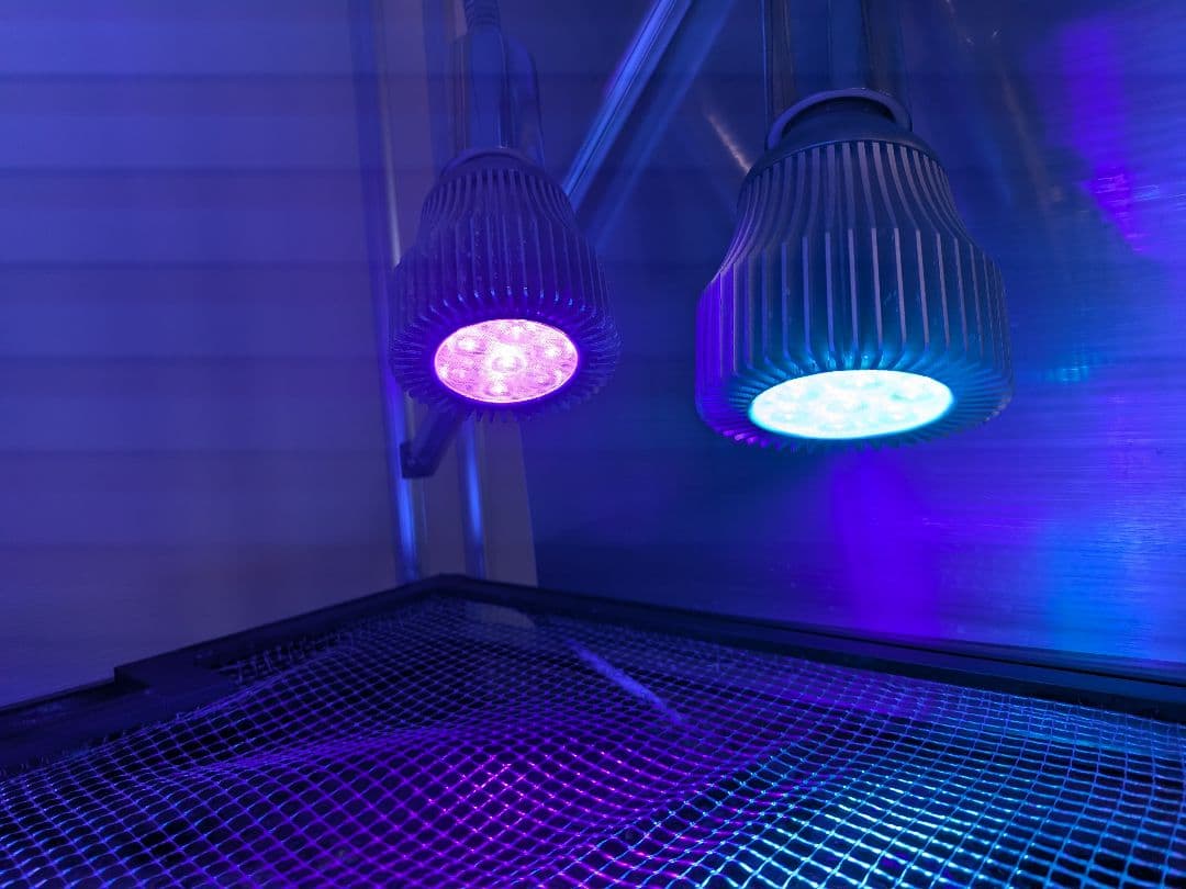 バイタルウェーブ　VitalWave II