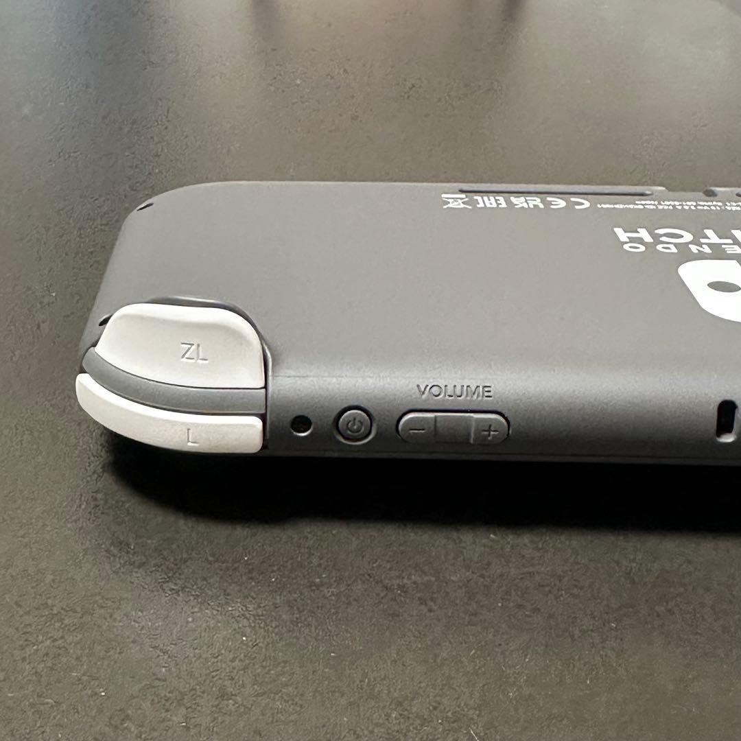 【美品】Nintendo Switch Light GLAY