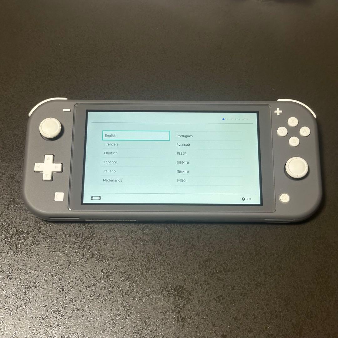 【美品】Nintendo Switch Light GLAY