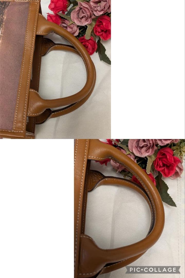 【未使用に近い】IANNE　❤️エアキャンバス 2way❤️　凱旋門からの夜景