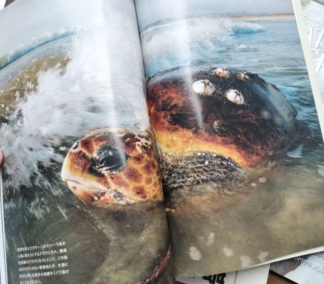 National Geographic 雑誌セット ナショナルジオグラフィック