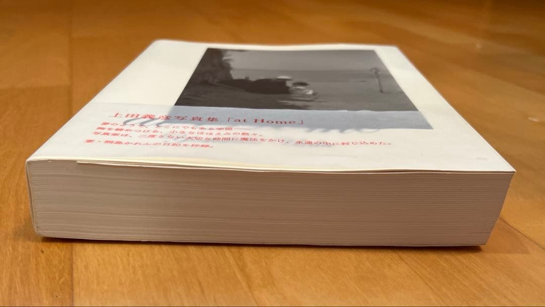 At  : 上田義彦写真集