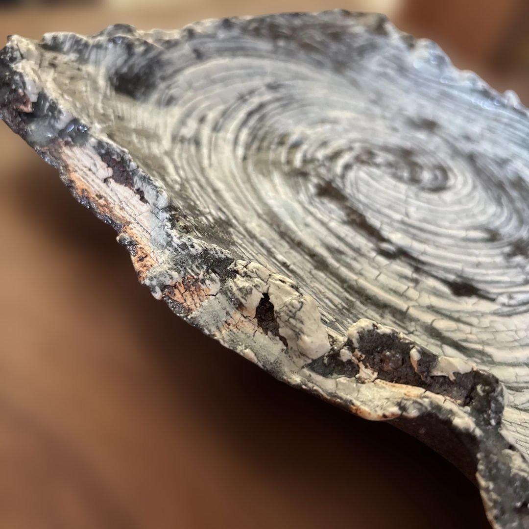 【唐津焼中川自然坊窯】刷毛目唐津四方もち上げ皿①