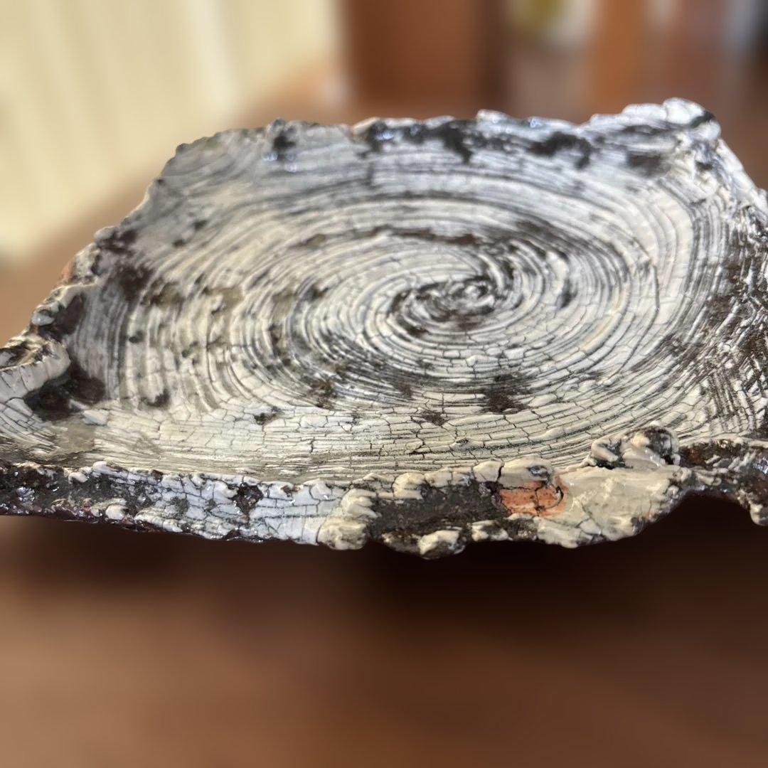 【唐津焼中川自然坊窯】刷毛目唐津四方もち上げ皿①