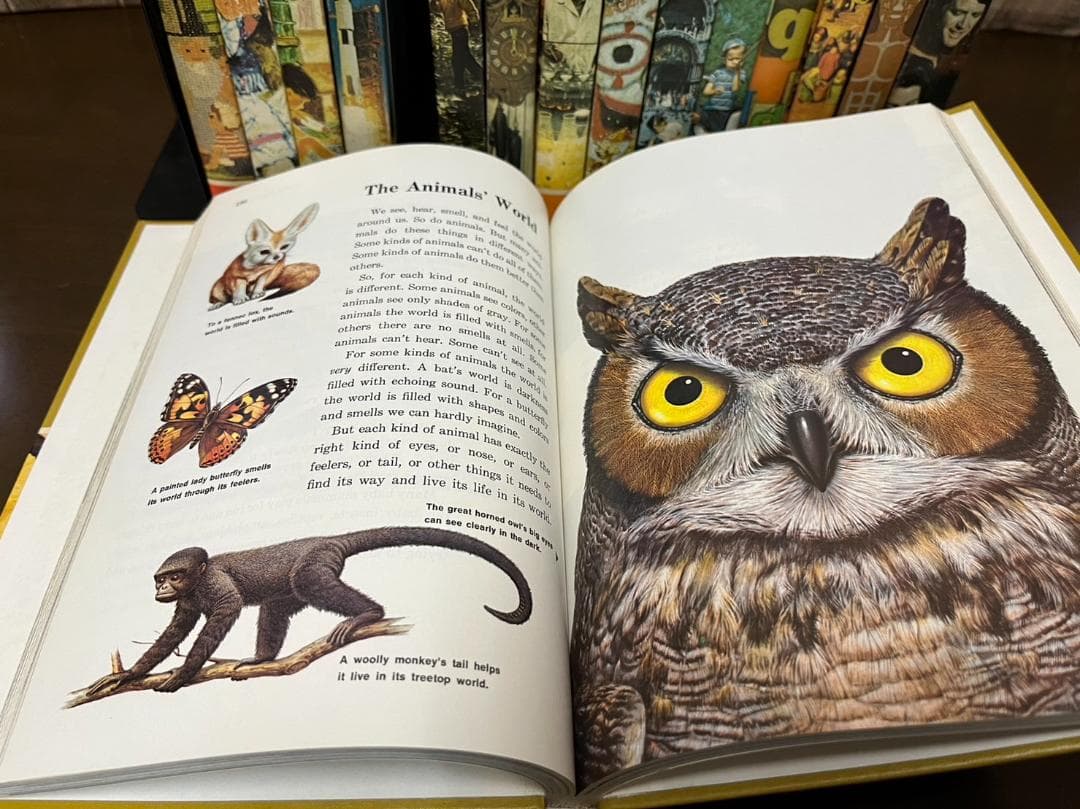 アンティーク！　全巻揃いの1970年代Childcraftです