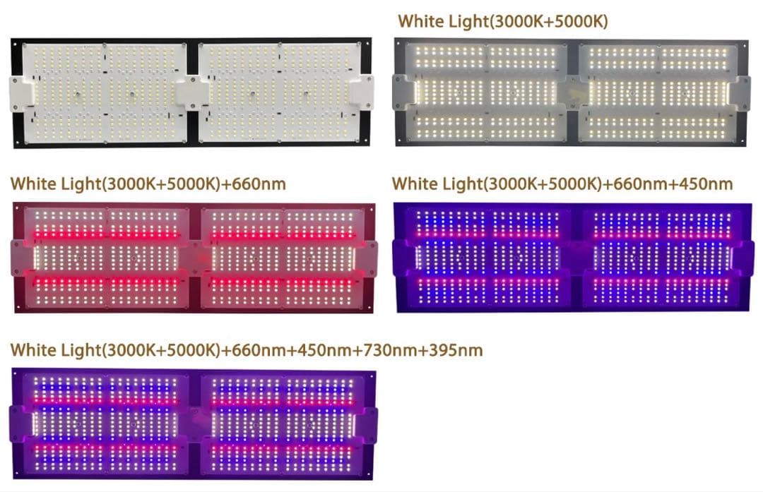 TY-EVO240W 【安心3年保証】植物育成LEDライトT!iyo©️ セール