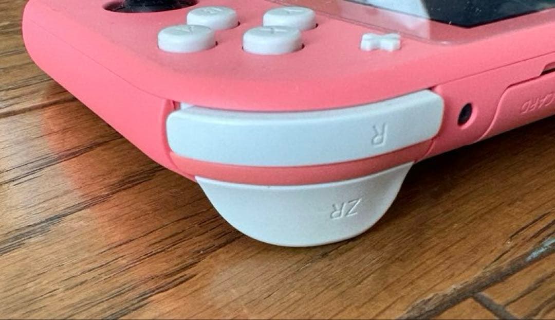 【ジャンク品】 Nintendo Switch Lite 通電〇