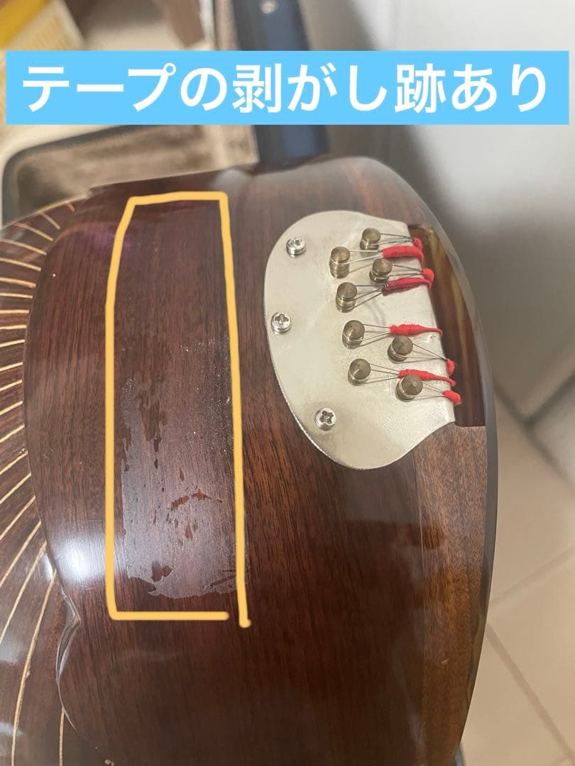 マンドリン　カラーチェ