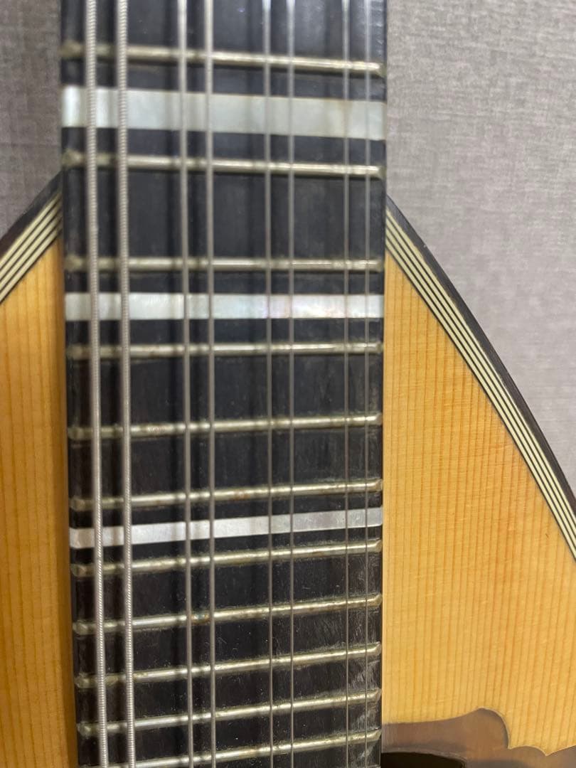 マンドリン　カラーチェ