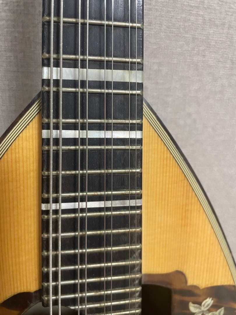 マンドリン　カラーチェ