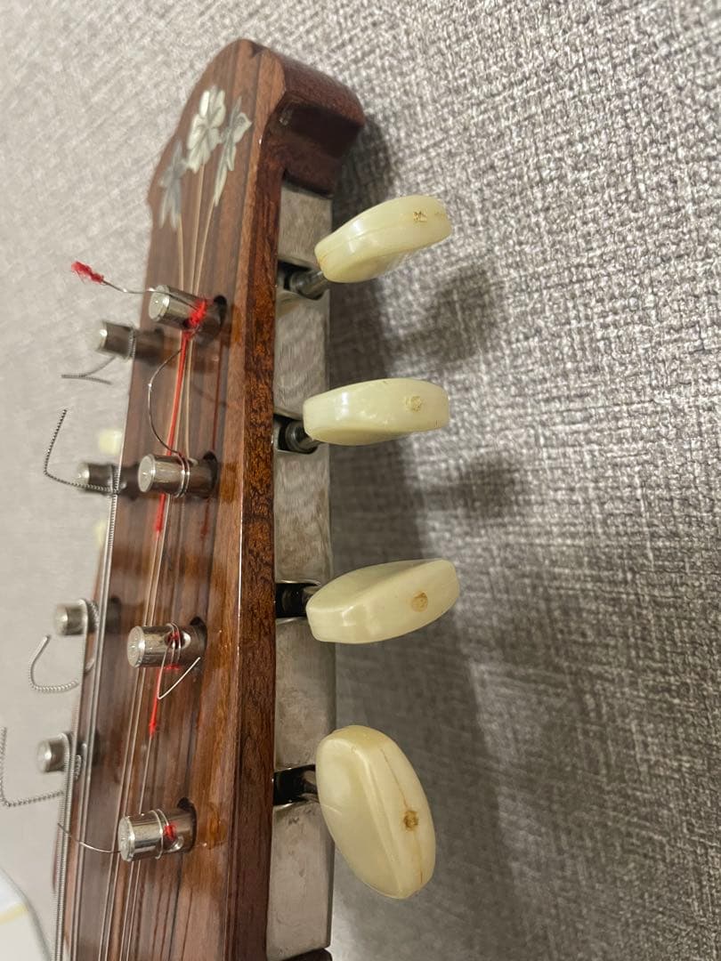 マンドリン　カラーチェ