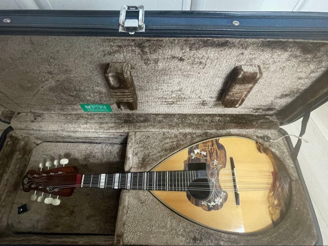 マンドリン　カラーチェ