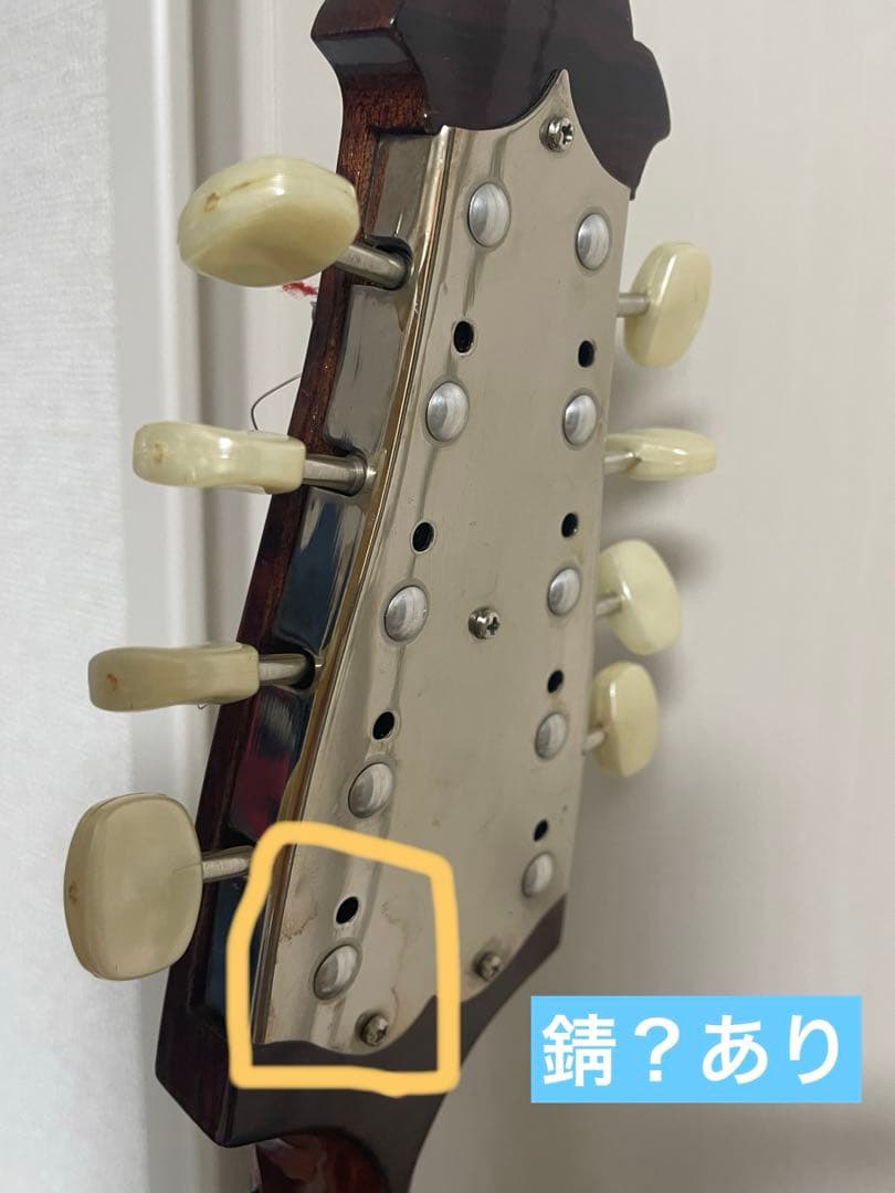 マンドリン　カラーチェ