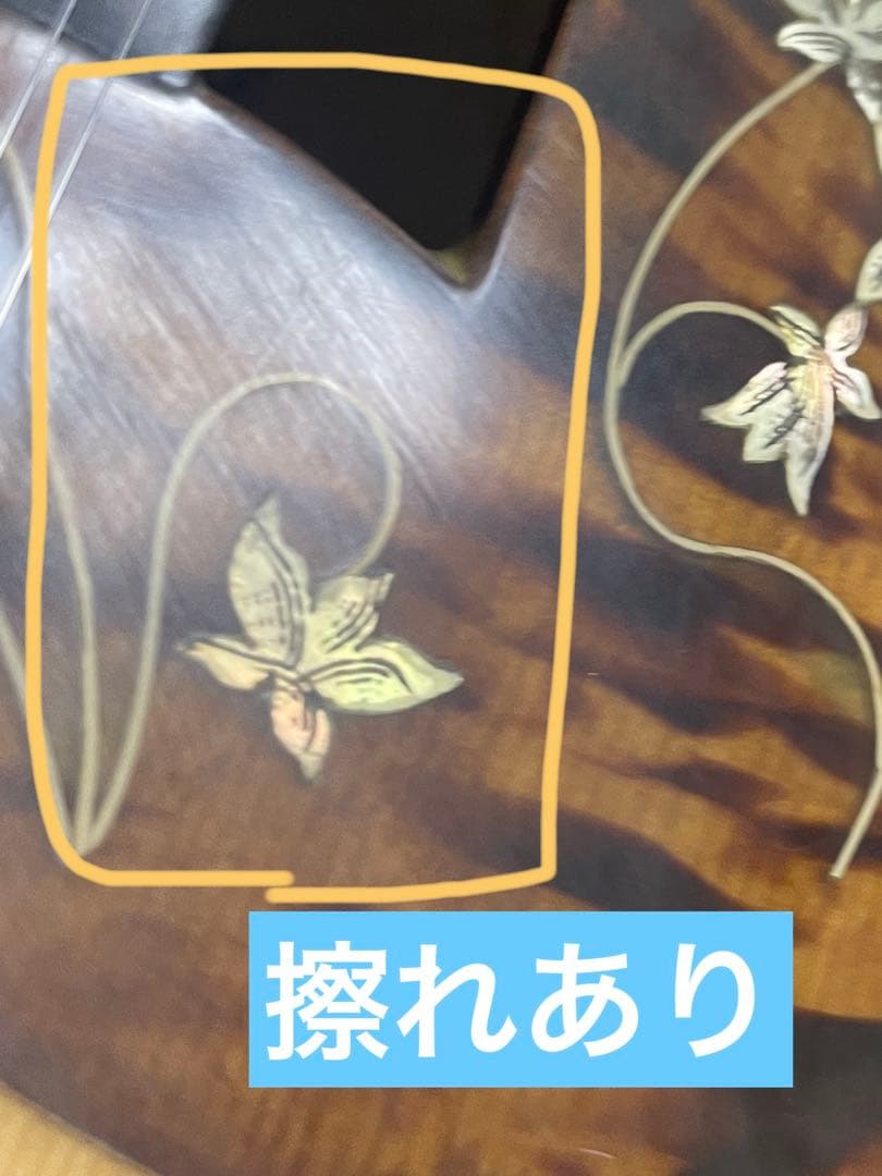 マンドリン　カラーチェ