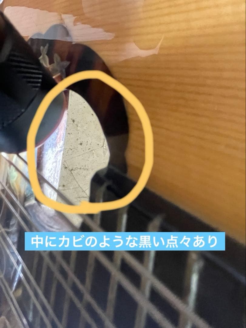 マンドリン　カラーチェ