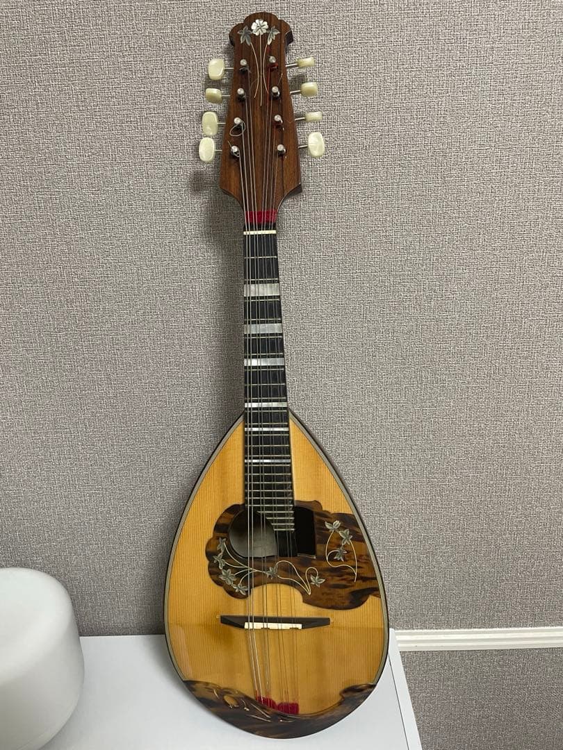 マンドリン　カラーチェ