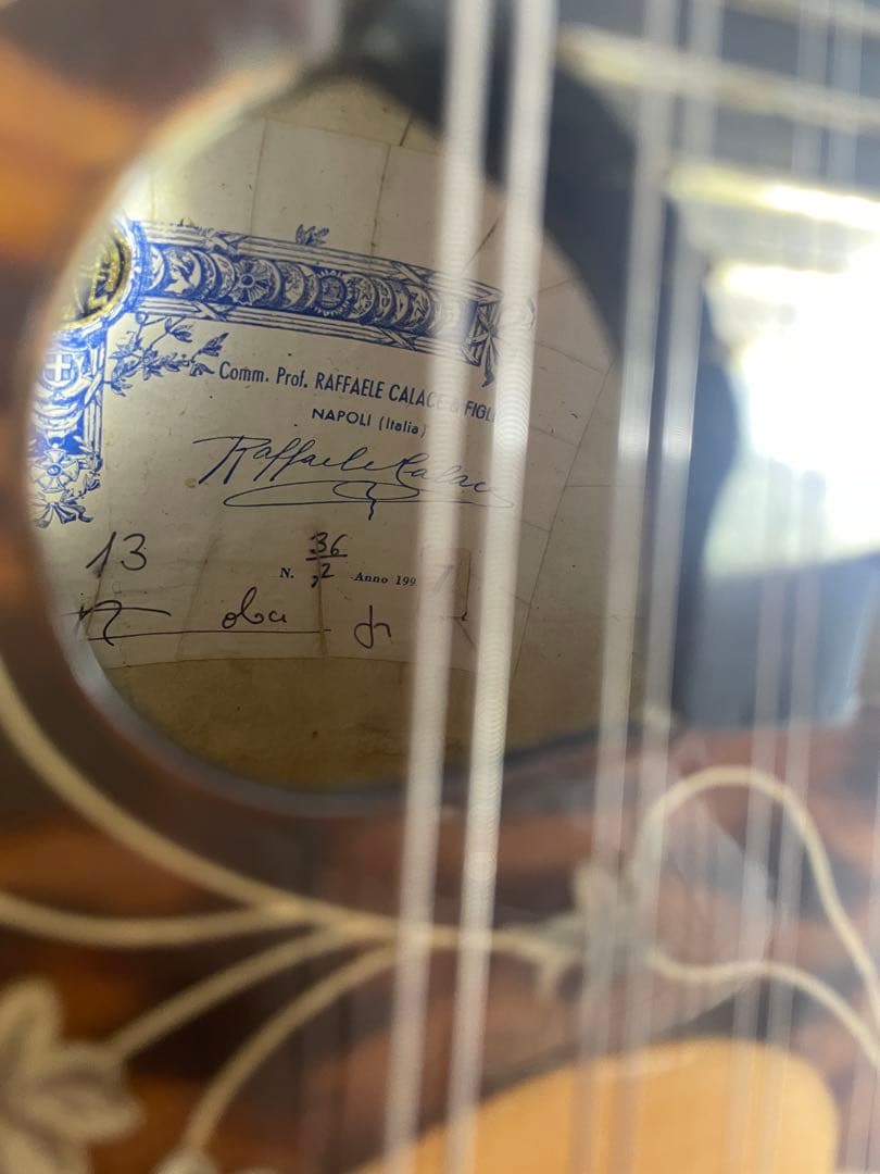 マンドリン　カラーチェ