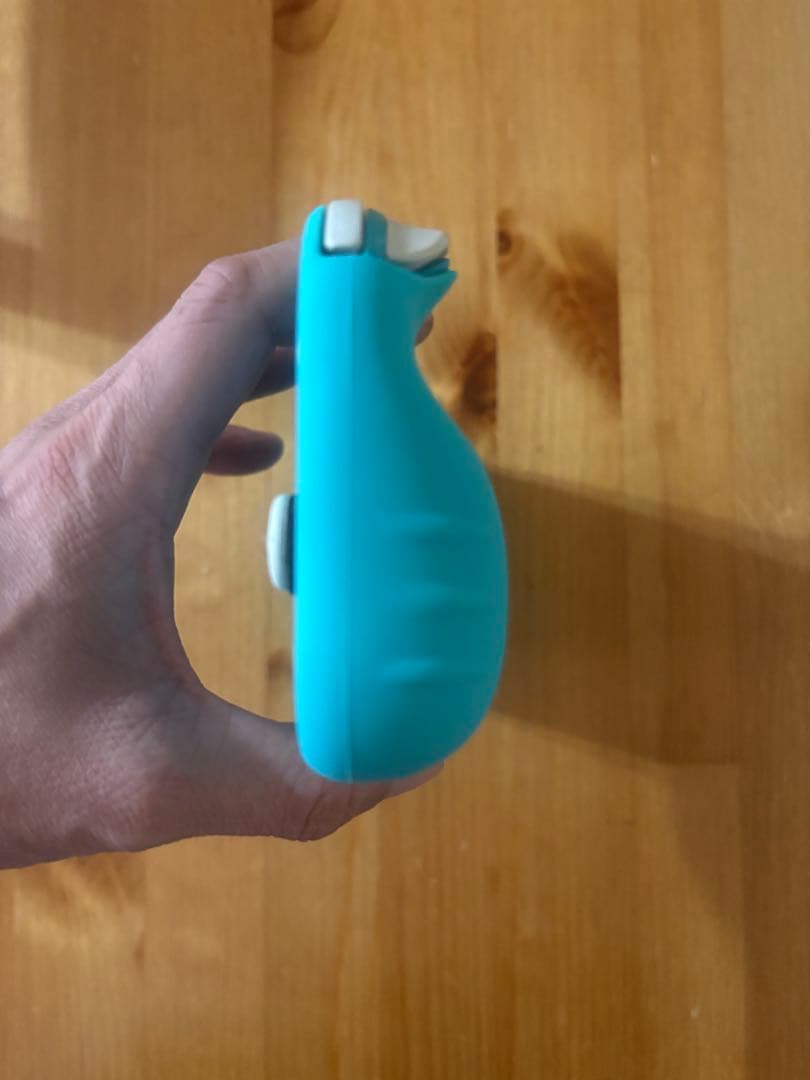 【動作確認済】ニンテンドーSwitchライト本体　micro sd 256GB