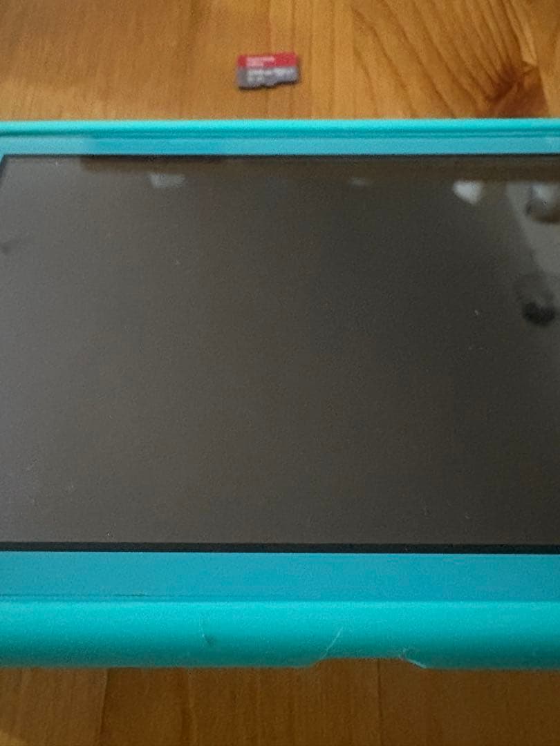 【動作確認済】ニンテンドーSwitchライト本体　micro sd 256GB